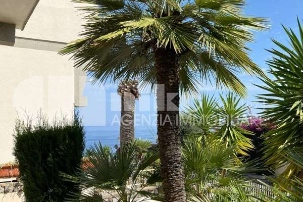Trilocale con giardino thumbnail